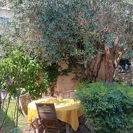 Boria Doree Lansargues